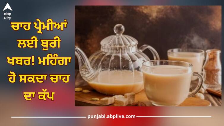 Bad news for tea lovers! TAI says North Indian tea output may be hit by 60 million kgs till June abpp Tea Lover: ਚਾਹ ਪ੍ਰੇਮੀਆਂ ਲਈ ਬੁਰੀ ਖਬਰ! ਮਹਿੰਗਾ ਹੋ ਸਕਦਾ ਚਾਹ ਦਾ ਕੱਪ, ਜਾਣੋ ਵਜ੍ਹਾ