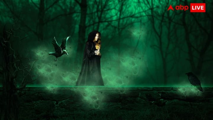 चुड़ैलों को प्रकृति और काले जादू से भी जोड़ कर देखा जाता है. चुड़ैल का सपना देखना आपकी अपनी आंतरिक शक्ति, अंतर्ज्ञान और आध्यात्मिक क्षेत्र से जुड़ाव का संकेत हो सकता है.