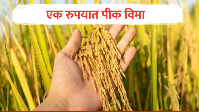 PM Pik Vima Yojana Government Crop Insurance Scheme Validty Pradhan Mantri Crop Bima Yojana marathi news PM Pik Vima Yojana : एक रुपयात, पीक विमा; शेतकऱ्यांसाठी पंतप्रधानांची खास योजना