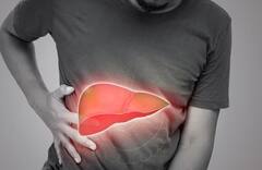 Fatty Liver: ભારતમાં ઝડપથી વધી રહ્યા છે ફેટી લીવરના કેસ, જાણો કારણ અને બચવાના ઉપાય