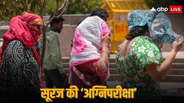 Heatwave Death in India Delhi UP Noida Ghaziabad Rajasthan Haryana Heatstroke 40000 Cases in Indian States Heatwave Death: कहीं 14 तो कहीं 30... गर्मी ने ली लोगों की जान, आग बरसा रहा आसमान, हीटस्ट्रोक के 40 हजार से ज्यादा मामले हुए रिपोर्ट