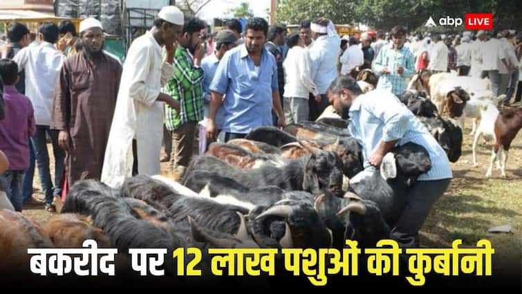 पाकिस्तान में 12 लाख जानवरों की दी गई कुर्बानी, बकरीद पर कटे 500 अरब कीमत के जानवर 