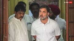 Rahul Gandhi on White T-Shirt: टी-शर्ट, कुर्ता किंवा शर्ट... राहुल गांधी फक्त आणि फक्त पांढरे कपडेच का घालतात?