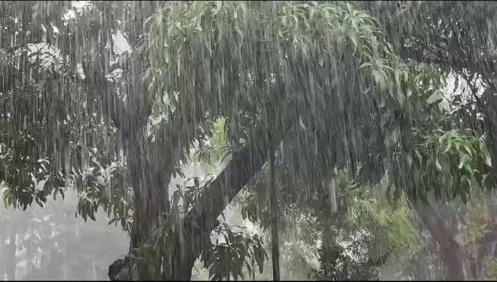 11 જૂને ચોમાસું નવસારીમાં પ્રવેશ્યું હતું, પરંતુ નબળી સિસ્ટમના કારણે તે આગળ વધી શક્યું નહોતું.