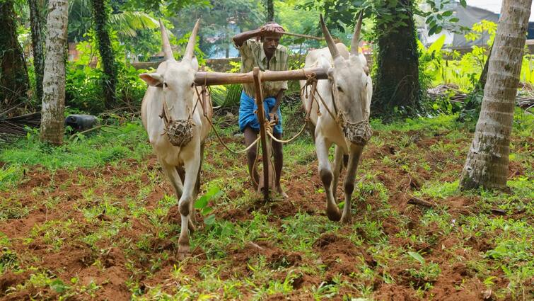 government advisory farmers do not open pm kisan link સરકારે ખેડૂતોને કર્યા સાવધાન! આ ફાઈલ ડાઉનલોડ કરી લીધી તો થઈ શકે છે...