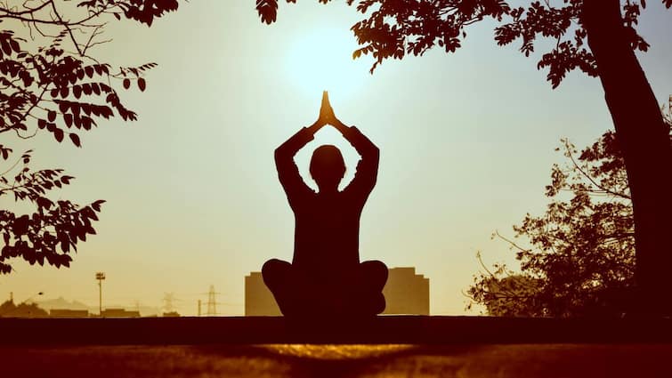 International Yoga Day 2024: History, Theme, And All You Need To Know About This Day International Yoga Day 2024: சர்வதேச யோகா தினம் இன்று! என்னென்ன நன்மைகள்? தெரிந்துகொள்ள வேண்டியவை