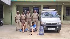 யானைகளை துப்பாக்கியால் சுட்டு கொன்று தந்தம் கடத்தல் - காரில் வந்தவர்களை மடக்கி பிடித்த வனத்துறை