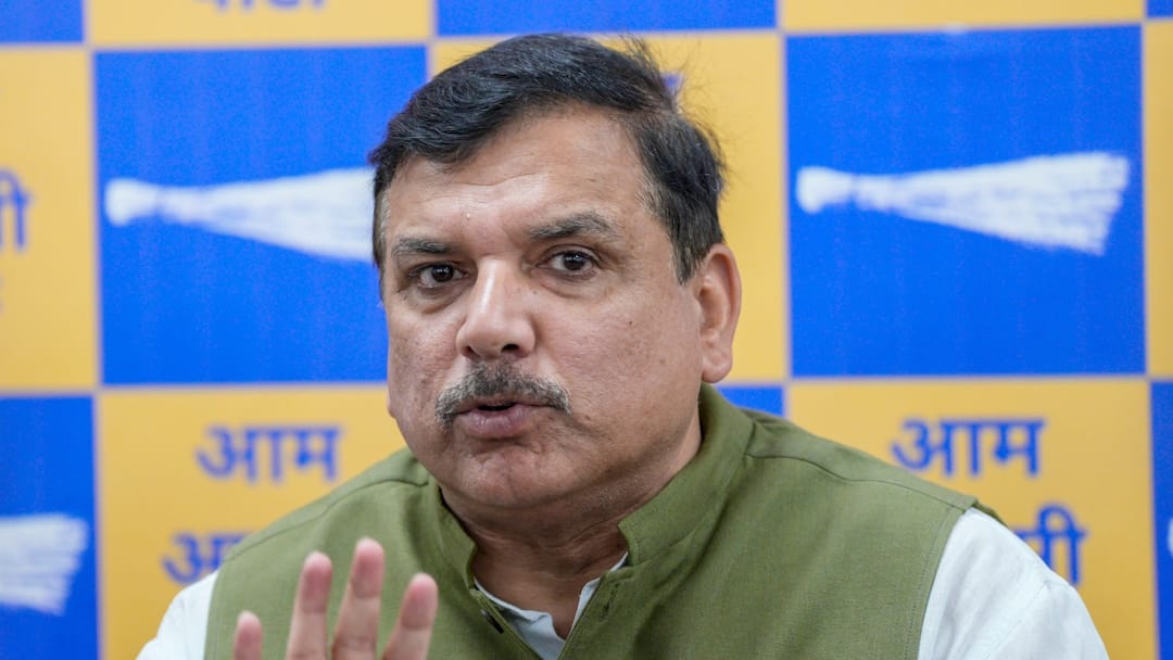 AAP Leader Sanjay Singh on Arvind Kejriwal Bail अरविंद केजरीवाल को जमानत मिलने पर संजय सिंह बोले- 'फैसला ऐसे समय पर आया है, जब...'