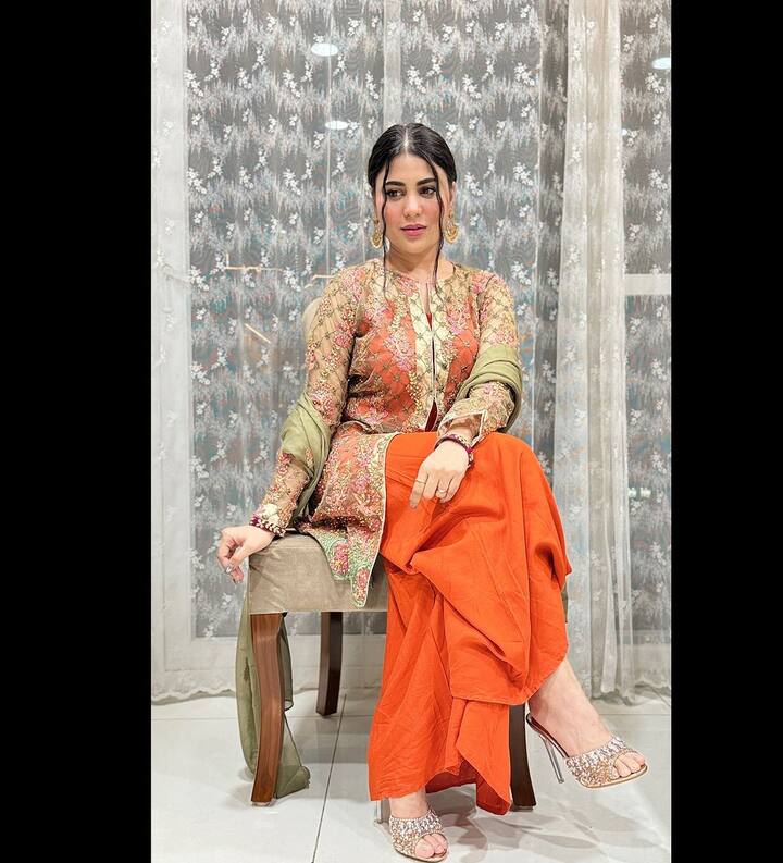 సాహసం సేయరా డింభకా' సినిమాలో నటించింది హమీదా. సిల్వర్ స్క్రీన్ పై వెలగాలని ఆశపడింది కానీ పెద్దగా అవకాశాలు రాలేదు.  బిగ్ బాస్ ఆఫర్ తో తనకంటూ ఫాలోయింగ్ సంపాదించుకుంది హమీదా. ఆ షో నుంచి బయటకు వచ్చాక  బ్రహ్మముడి సీరియల్ లో ఆఫర్ దక్కించుకుంది