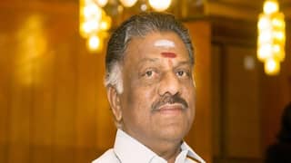 OPS On Illicit Liquor: ஸ்டாலின் பதவி விலக வேண்டும் - கள்ளச்சாராய விவகாரத்தில் ஓபிஎஸ் போர்க்கோடி