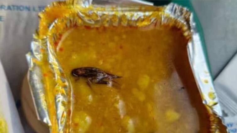 cockroach found in vande bharat express train meal irctc responds image viral Vande Bharat Express: వందేభారత్ రైలు భోజనంలో బొద్దింక, స్పందించిన IRCTC