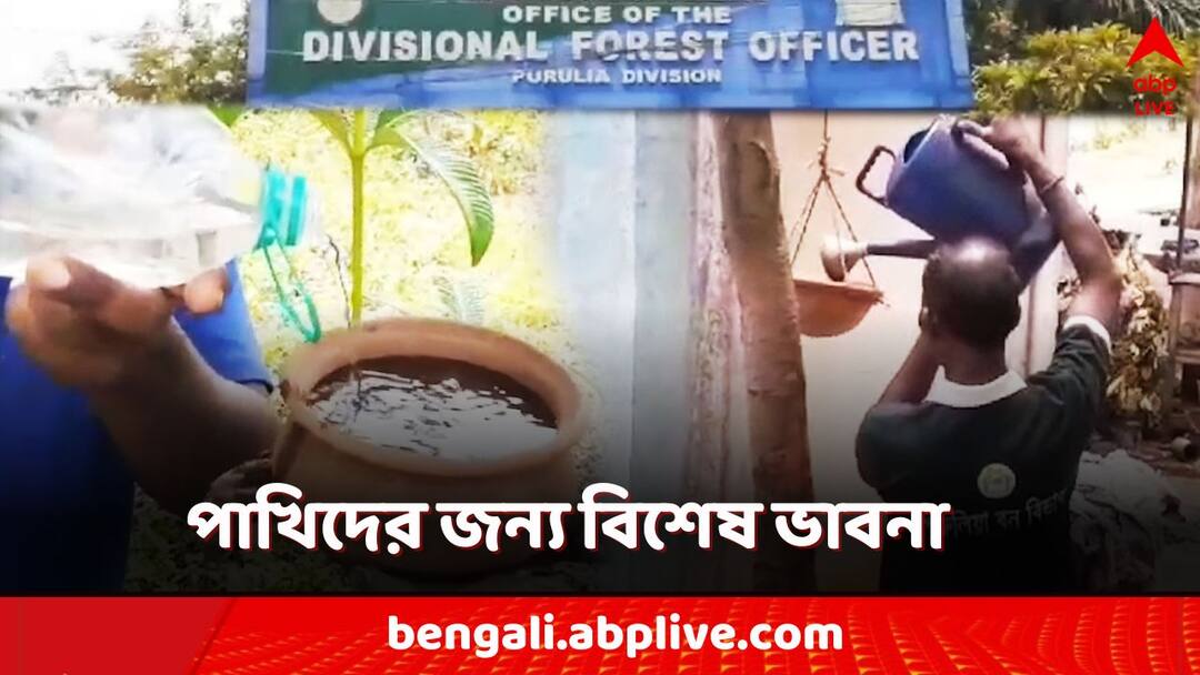 purulia heatwave condition forest department took steps to provide water to birds waiting for rain Purulia News: গাছে গাছে বাঁধা পাত্রে সকাল-বিকেল জল! পাখিদের জন্য 'বিশেষ ভাবনা' বন দফতরের