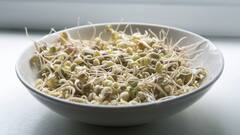 Healthy Diet:முளைக்கட்டிய பயிறு - வேக வைத்து சாப்பிடலாமா? எதில் நன்மை அதிகம்? இதைப் படிங்களேன்!