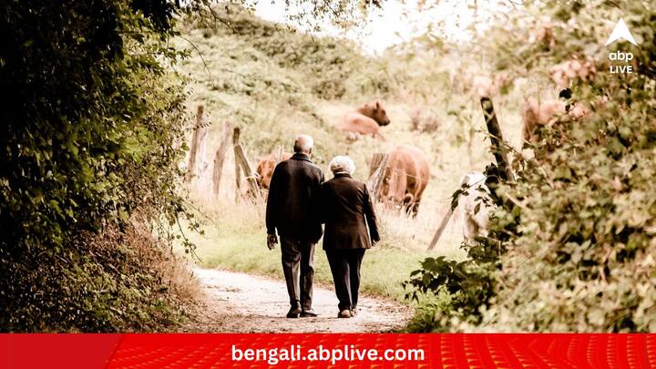 সাধারণ ভাবে ষাটোর্ধ্ব ভারতীয়রা এই প্রকল্পে সঞ্চয় করতে পারেন। তবে কিছু ব্যতিক্রম রয়েছে। এর সুদের হার প্রত্যেক ত্রৈমাসিকে পুনর্মূল্যায়ন করা হয়। তবে ঝুঁকি প্রায় নেই বললেই চলে। ১ হাজার টাকা থেকে ৩০ লক্ষ টাকা পর্যন্ত জমানো যেতে পারে এই প্রকল্পে।   (ছবি:PIXABAY)