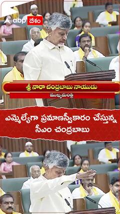 ఎమ్మెల్యే గా ప్రమాణస్వీకారం చేస్తున్న సీఎం చంద్రబాబు
