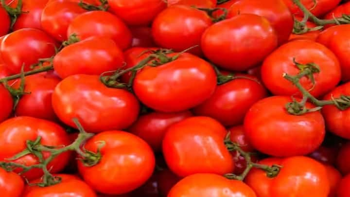 Tomato Benefits: ટામેટા ખાવાથી શરીરમાં થાય છે આ ફાયદાઓ, જાણો