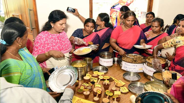 Theni Paddy has been cultivated in 688 hectares and small grains in 104 hectares so far this year - TNN தேனி: நடப்பாண்டு நெல் இதுவரை 688 ஹெக்டர் பரப்பிலும், சிறுதானியங்கள் 104 ஹெக்டேரிலும் சாகுபடி