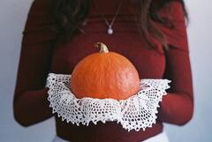 ऐसे भारत में हुई तरबूज के रिश्तेदार कद्दू की एंट्री