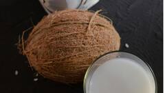 Coconut Milk Shampoo : தலைமுடி ஆரோக்கியமாக இருக்க தேங்காய் பால் ஷாம்பூ - எப்படி செய்வது?