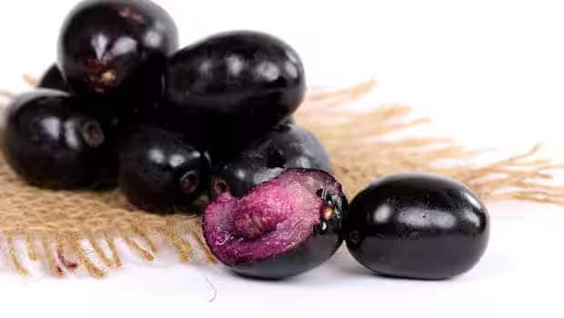 Health Tips benefits-of-black-plum-jamun-is-good-for-liver-kidney-and-stomach Health Tips: ઉનાળાની આકરી ગરમીમાં ખૂબ ખાઓ જાંબુ,ફાયદા જાણીને ચોંકી જશો