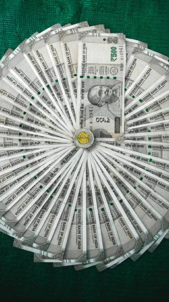 पैशांची भरभराट होण्यासाठी 'हे' रोप घरी लावा