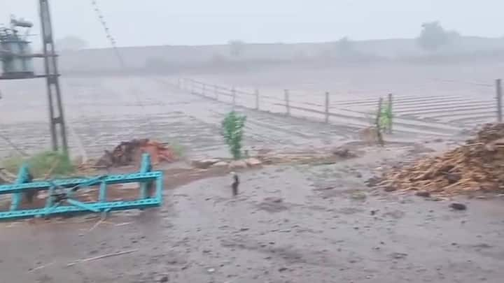 Bhavnagar Rain:ભાવનગરના મહુવા ગ્રામ્ય પંથકમાં વાવણી લાયક વરસાદ,જુઓ તસવીરો