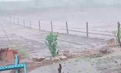 Bhavnagar Rain:ભાવનગરના મહુવા ગ્રામ્ય પંથકમાં વાવણી લાયક વરસાદ,જુઓ તસવીરો