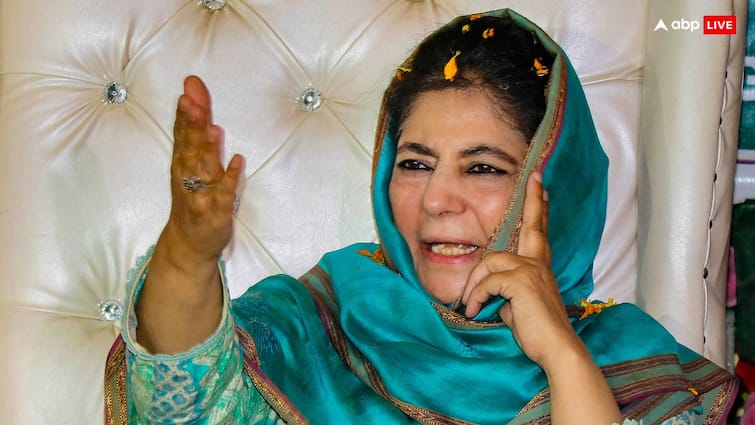 Mehbooba Mufti said we will give free electricity up to 200 units jammu kashmir election 2024 200 यूनिट फ्री बिजली, मुफ्त सिलेंडर, PDP चीफ महबूबा मुफ्ती ने किए बड़े चुनावी वादे