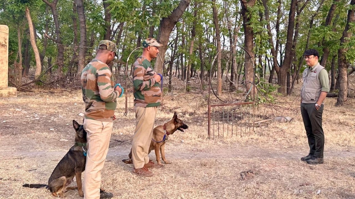 कॉर्बेट पार्क की सुरक्षा करेंगे 3 स्निफर डॉग, हरियाणा में 6 महीने ली है खास ट्रेनिंग