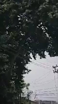 Jammu Kashmir के श्रीनगर के कुछ हिस्सों में हुई बारिश | ABP Shorts