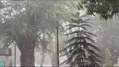 Gujarat Weather: આગામી બે દિવસમાં ચોમાસું આગળ વધશે, દક્ષિણ ગુજરાતમાં ધમધોકાર વરસાદ પડશે