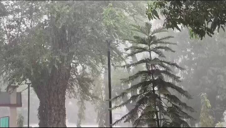 આજે અમદાવાદ, અમરેલી, પોરબંદર, ભાવનગર, જૂનાગઢ, ગીર સોમનાથ, સુરત, નવસારી, વલસાડ અને વડોદરામાં વરસાદ થઈ શકે છે.