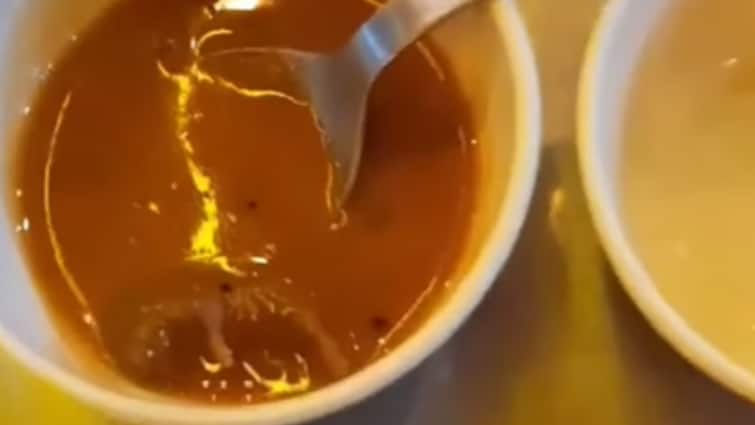 Gujarat Diner Finds Dead Rat Sambar Bowl Ahmedabad Restaurant sealed Video Goes Viral Gujarat Shocker: Diner Finds Dead Rat In Sambar Bowl At Ahmedabad Restaurant, Video Goes Viral