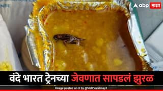 Viral : वंदे भारत एक्सप्रेसच्या जेवणात सापडलं झुरळ, सोशल मीडियावर फोटो शेअर करत प्रवाशाची रेल्वेमंत्र्यांकडे तक्रार; IRCTC कडून दखल