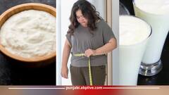 Weight Loss: ਭਾਰ ਘਟਾਉਣ ਲਈ ਕੀ ਬੈਸਟ, ਦਹੀਂ ਜਾਂ ਲੱਸੀ?