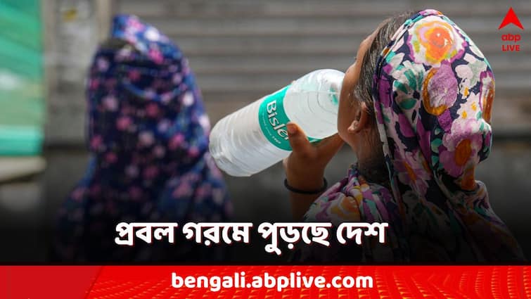 Weather Update severe heatwave 110 heatwave deaths 40 thousands Heatstroke cases in country Union Health Ministry Weather Update: তীব্র গরমে পুড়ছে দেশের বিস্তীর্ণ অংশ!১০০ পেরিয়েছে মৃত্যু, ৪০ হাজার হিটস্ট্রোকের ঘটনা