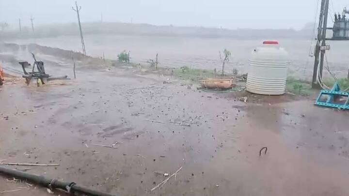 ભાવનગર જિલ્લામાં છેલ્લા પાંચ દિવસથી સામાન્ય વરસાદ વરસી રહ્યો છે.  વરસાદના કારણે લોકોને અસહ્ય બફારા અને ગરમીથી રાહત મળી છે.