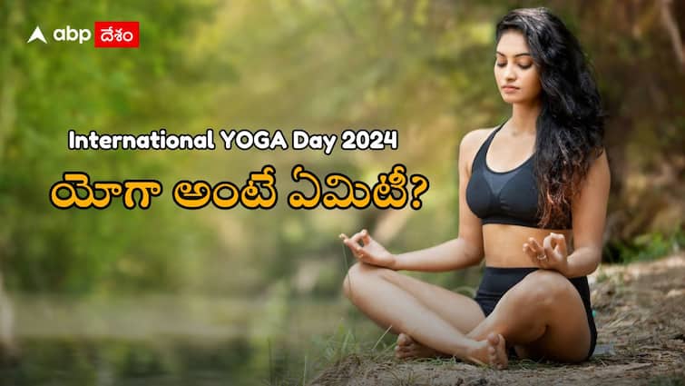 Do you know why Yoga Day is celebrated on June 21 International Yoga Day 2024: యోగాకు ఆ పేరు ఎలా వచ్చింది? దీన్ని ప్రారంభించింది ఎవరు? ఈ రోజే Yoga Day ఎందుకు నిర్వహిస్తారు?