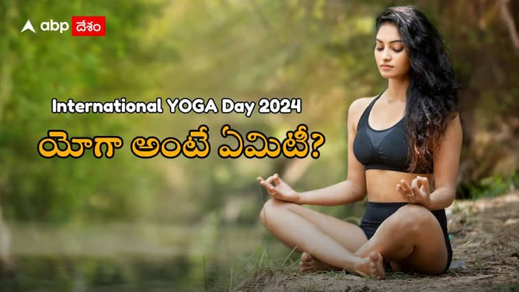 Do You Know Why Yoga Day Is Celebrated On June 21 International Yoga