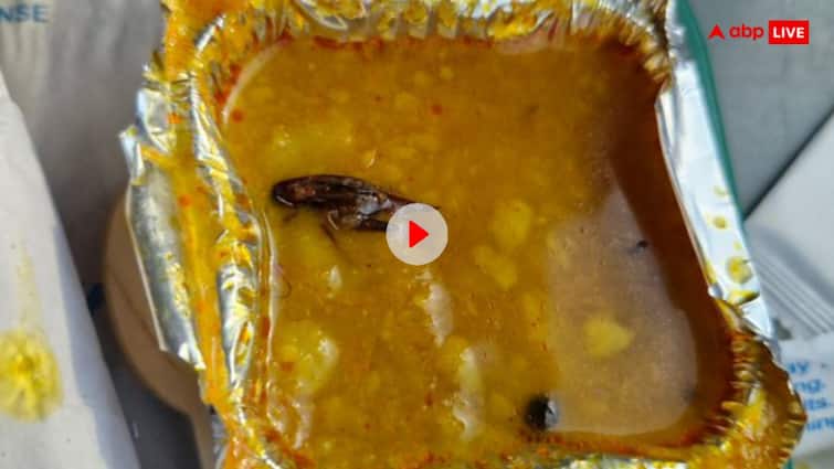Passenger found dead cockroach in the food of Vande Bharat Express going from Bhopal to Delhi Post: वंदे भारत एक्सप्रेस के खाने में फिर निकला कॉकरोच, यूजर्स ने ऐसे ले लिए मजे