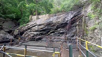 Theni Suruli Falls no water issue Tourists are disappointed - TNN Suruli falls: ஒரு சொட்டு கூட தண்ணி இல்ல ! சுருளி அருவிக்கு வரும் சுற்றுலா பயணிகள் ஏமாற்றம்