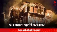 দমকলের সুপারিশ মানেনি বনদফতর? অগ্নিকাণ্ডের আগে হলং-এ ঘরে আলো কেন?