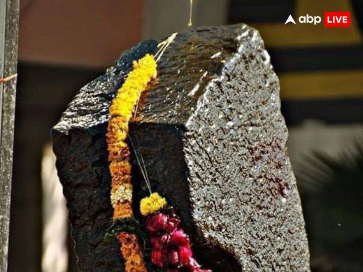 शनि को सभी ग्रहों में सबसे धीमी गति का ग्रह माना जाता है. न्याय के देवता शनि देव हर ढाई साल में अपना राशि परिवर्तन करते हैं.