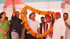 SP या फिर BJP? UP Vidhan Sabha में कौन सा दल सबसे आगे, जानें