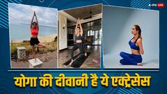 International Yoga Day 2024: मलाइका से शिल्पा और आलिया तक, योग की दीवानी हैं बॉलीवुड की ये एक्ट्रेस, इनकी फिटनेस देती है इंस्पिरेशन