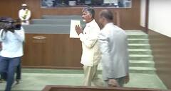 CM Chandrababu: శపథం చేసి సాధించారు - అవమానంతో బయటకు వెళ్లి విజయగర్వంతో సభలోకి, ప్రతి టీడీపీ కార్యకర్త తలెత్తుకునే ఫోటోలివే!