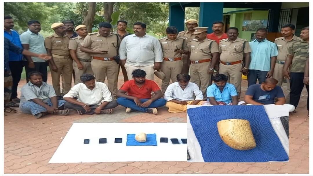 Kalakkad: Forest department rounds up 7 people for hoarding elephant tusks pretending to bargain - TNN Crime: களக்காடு அருகே பேரம் பேசுவது போல் நடித்து யானை தந்தம் பதுக்கல் - 7 பேரை சுற்றிவளைத்த வனத்துறை