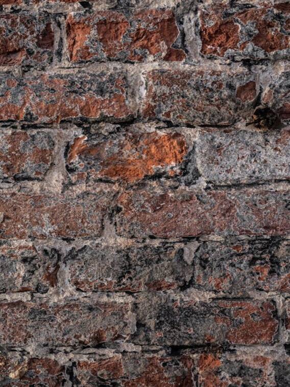 ईंट बनाते समय क्यों होता है नमक का इस्तेमाल?