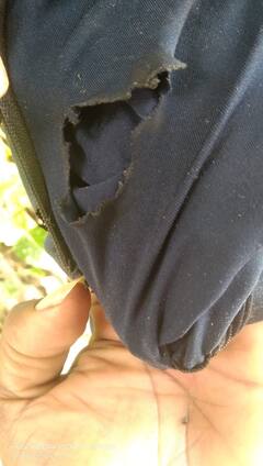 Akola News : खिश्यात ठेवलेल्या मोबाईलचा अचानक स्फोट; प्रसंगावधानाने थोडक्यात बचावला तरुण