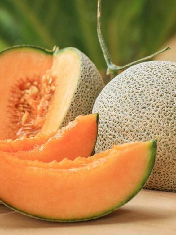 दुनिया का सबसे महंगा खरबूज